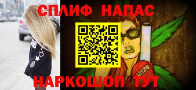 шишки Можга
